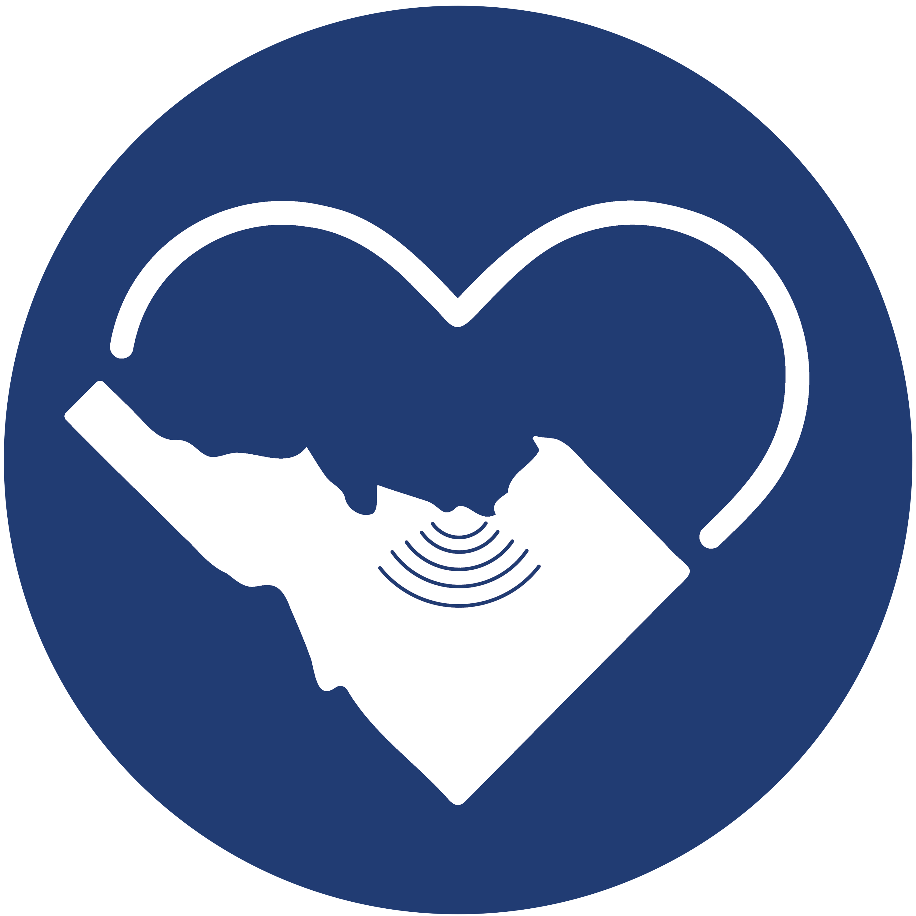 Idaho Pulse
